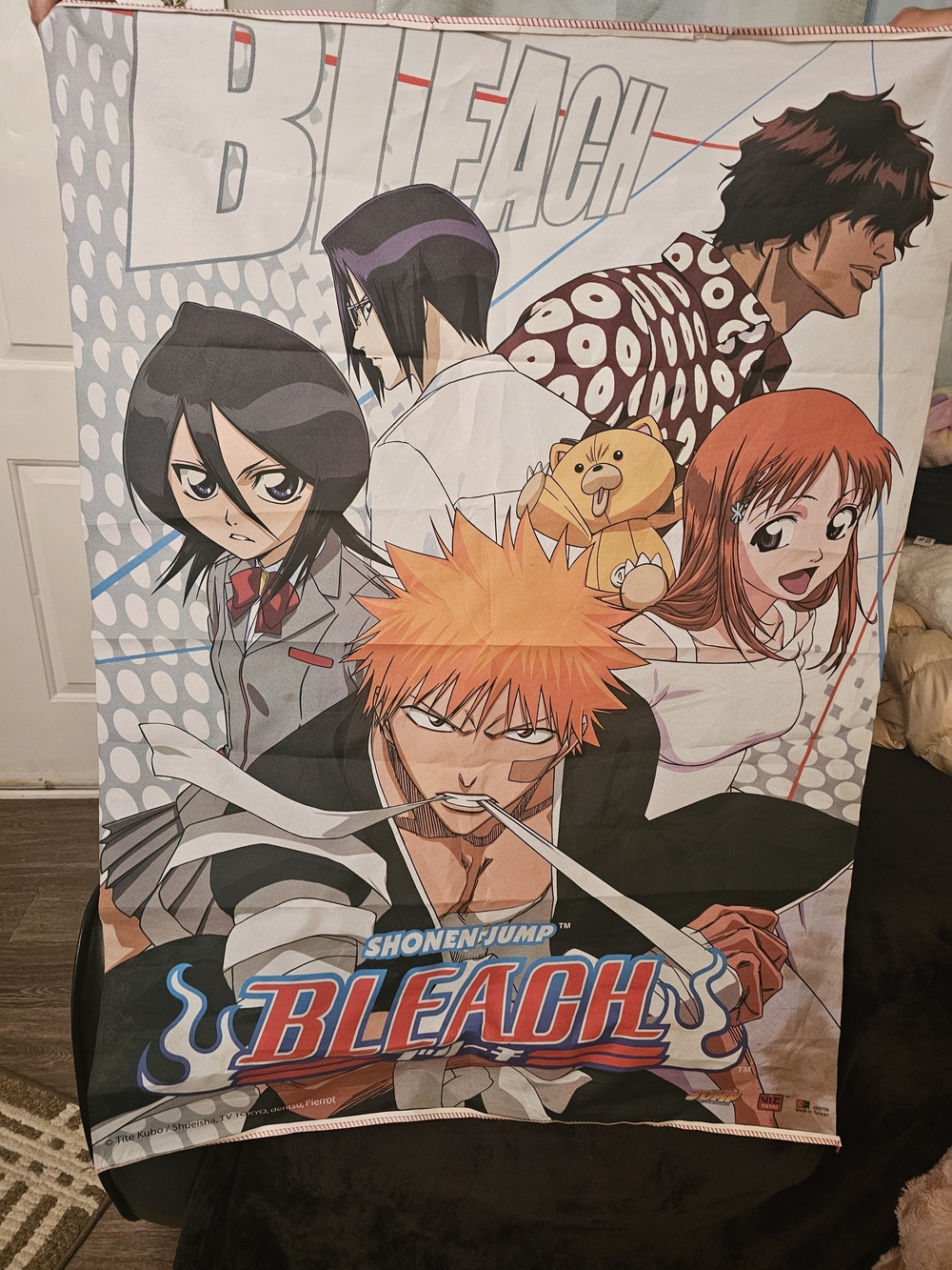 Bleach Poster